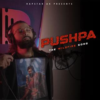 Pushpa : The Wildfire Song