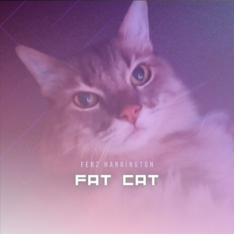 Fat Cat | Boomplay Music