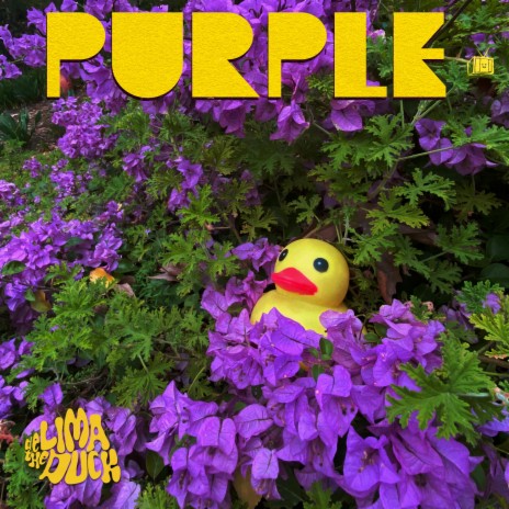 Purple ft. LUS | Boomplay Music