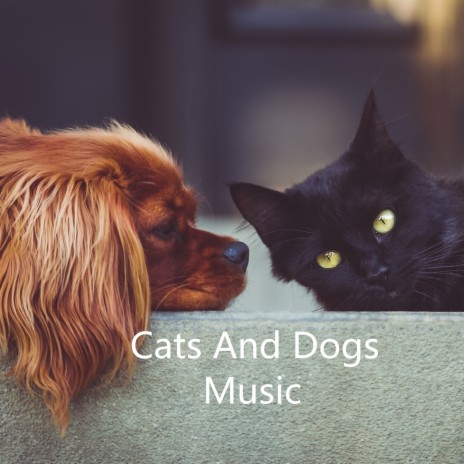 Кошка играет ft. Kittens Music, Dog Music & Кошачья музыка | Boomplay Music