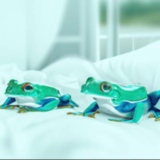 Frogs in My Bed!