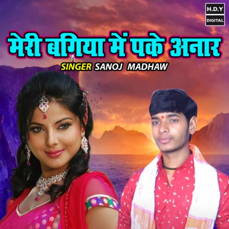 Meri Bagiya Main Pake Anar | Boomplay Music