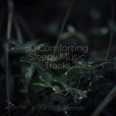 Friendship's Teachings ft. Music For Absolute Sleep & Lullabyes | Boomplay Music