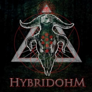 Hybridohm