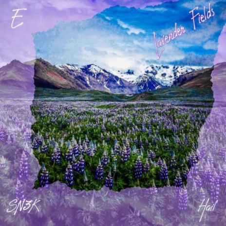 Lavender Fields ft. E & HAIL | Boomplay Music