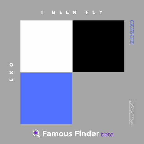 I Been Fly | Boomplay Music