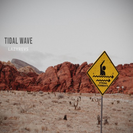 Tidal Wave | Boomplay Music