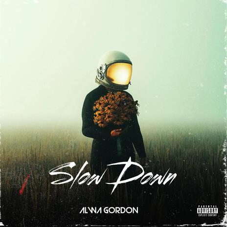 SLOW DOWN | Boomplay Music