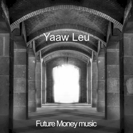 Yaaw Leu | Boomplay Music