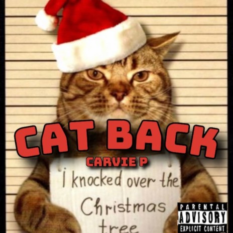 Cat Back | Boomplay Music