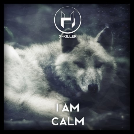 I Am Calm | Boomplay Music