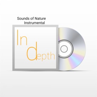Sounds of Nature Instrumental - In Depth