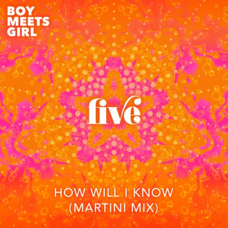 How Will I Know (Martini Mix) | Boomplay Music