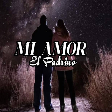 Mi Amor | Boomplay Music