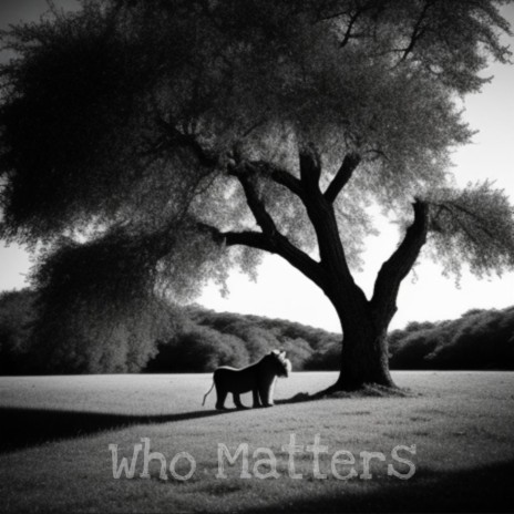 Who Matters | Boomplay Music