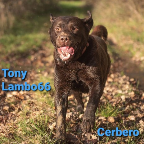 Cerbero | Boomplay Music