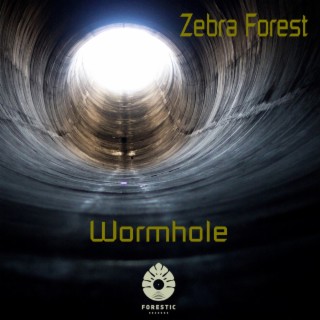 Wormhole