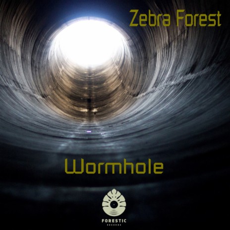 Wormhole chapt3 | Boomplay Music