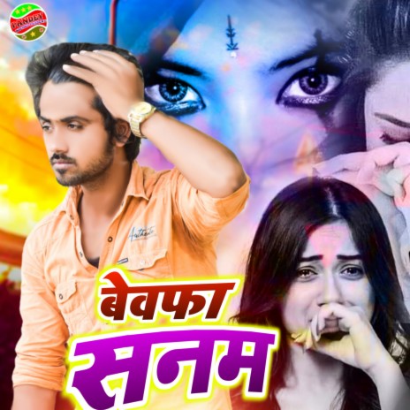 Bewfa Sanam (Bewfa sanam) | Boomplay Music