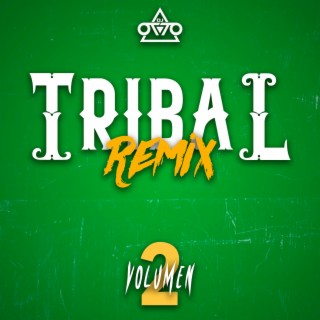 Tribal Remix, Vol. 2