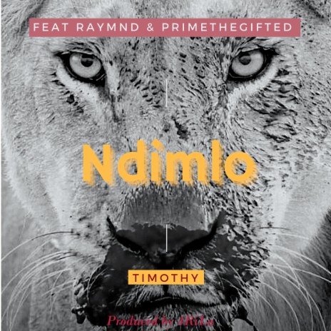 Ndimlo ft. Raymnd & Primethegifted