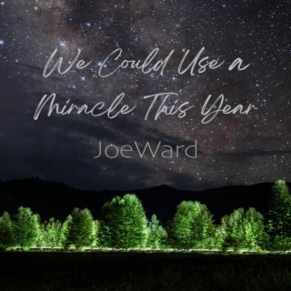 We Could Use a Miracle This Year lyrics | Boomplay Music