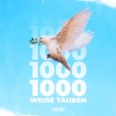 1000 weiße Tauben | Boomplay Music