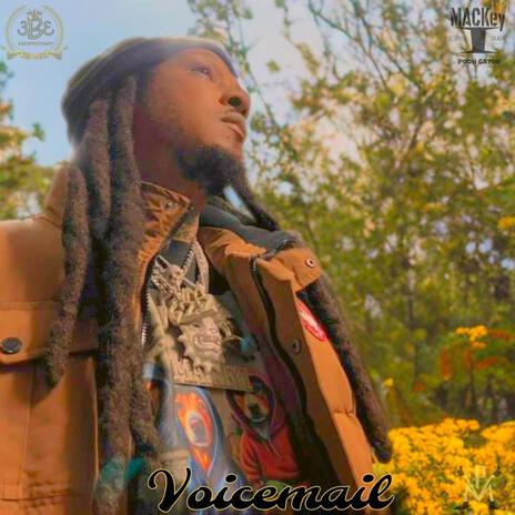 Voicemail ft. Noochi Blayne | Boomplay Music