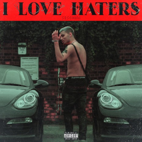 I Love Haters | Boomplay Music