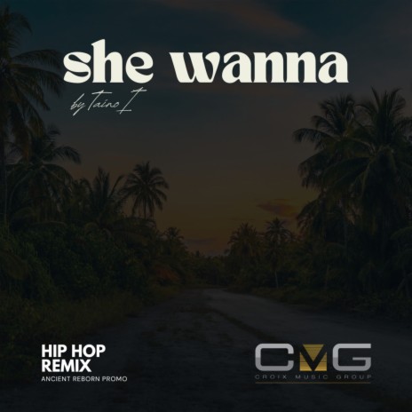 SHE WANNA (HIP HOP REMIX) | Boomplay Music