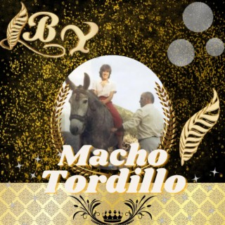 El Macho Tordillo lyrics | Boomplay Music