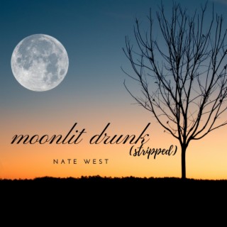 Moonlit Drunk (stripped)