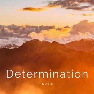 Determination