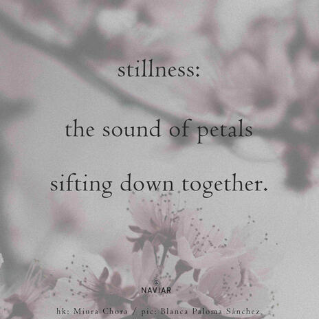 Stillness | Boomplay Music