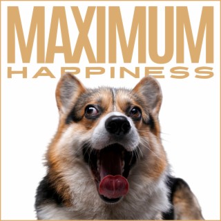 Maximum Happiness