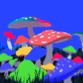 SHROOMS