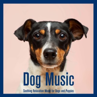 Dog Music: Soothing Relaxation Music for Dogs and Puppies