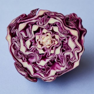 Purple Cabbage