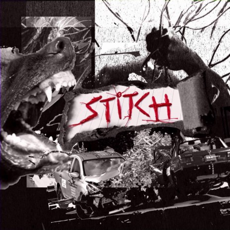 STITCH | Boomplay Music