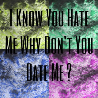 I Know You Hate Me Why Don't You Date Me?