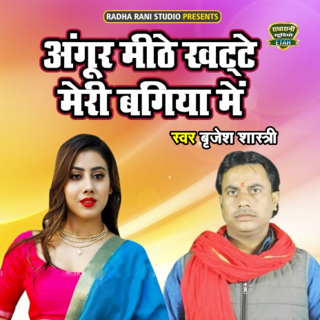 Angoor Mithe Khatte Meri Bagiya Main | Boomplay Music