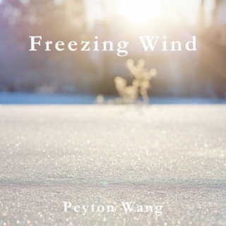 Freezing Wind