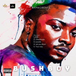 Bush boy | Boomplay Music
