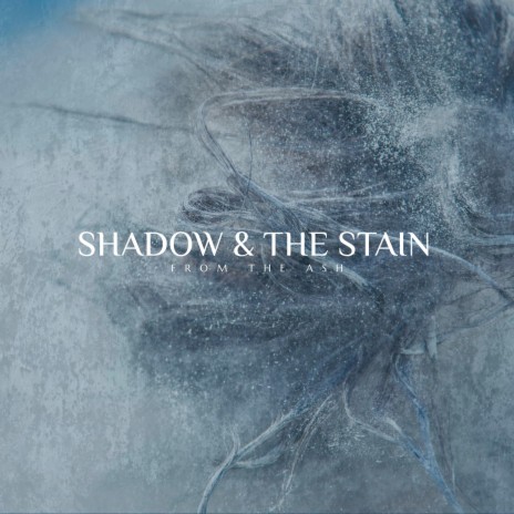 Shadow and the Stain | Boomplay Music