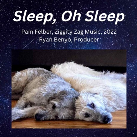 Sleep, Oh Sleep | Boomplay Music