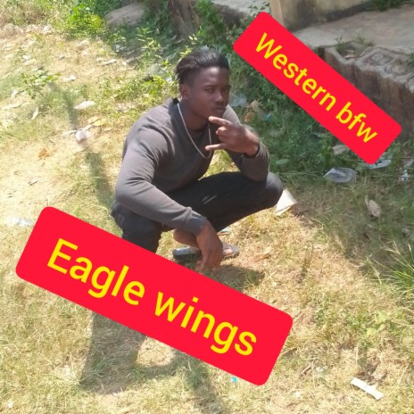 Eagle wings
