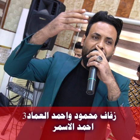 زفاف محمود واحمد العماد3
