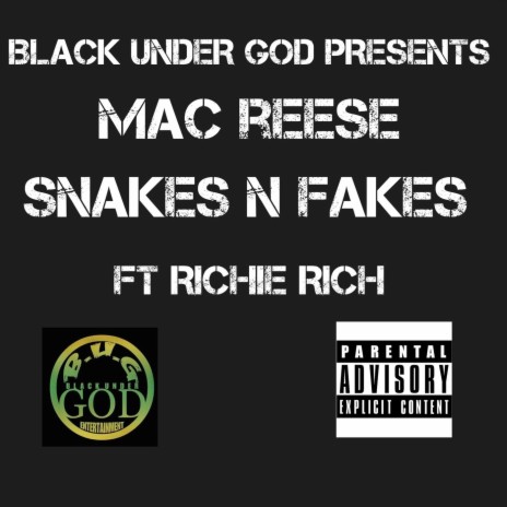 Snakes and Fakes (feat. Richie Rich) | Boomplay Music