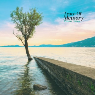 Trace of Memory