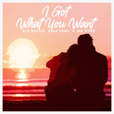 I Got What You Want ft. Ra Pamu & Ace Boogie | Boomplay Music